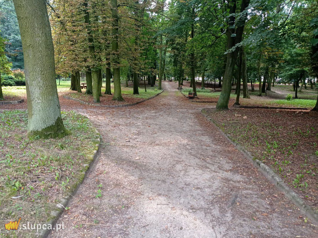 A może by tak do miejskiego parku… GALERIA ZDJĘĆ