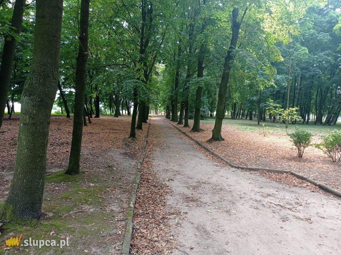 A może by tak do miejskiego parku… GALERIA ZDJĘĆ