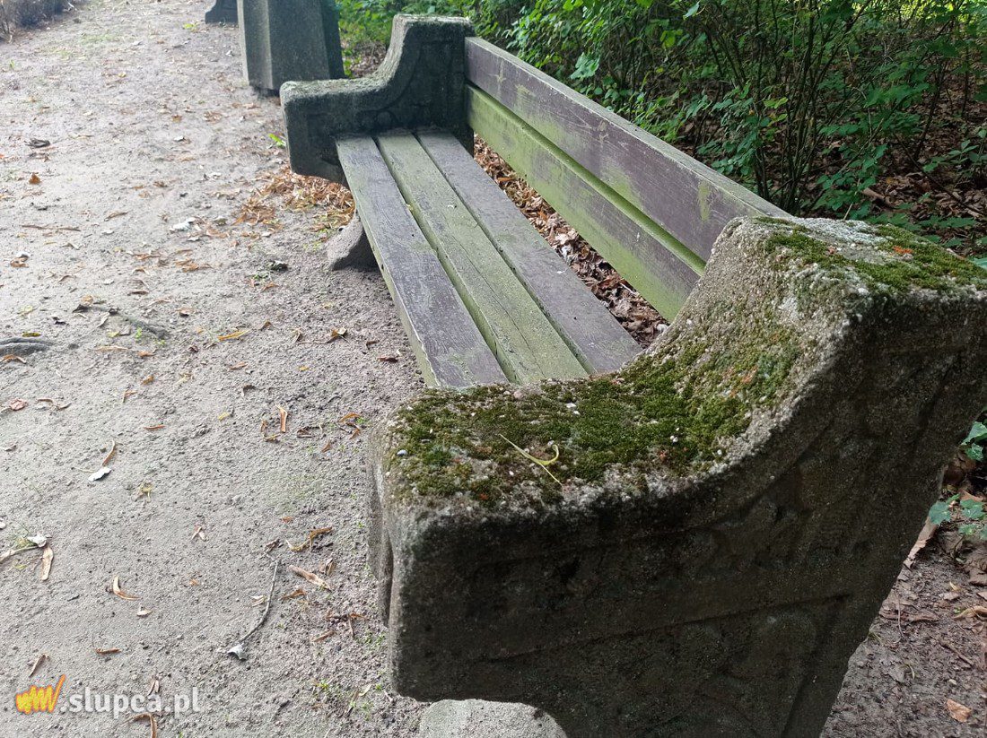 A może by tak do miejskiego parku… GALERIA ZDJĘĆ