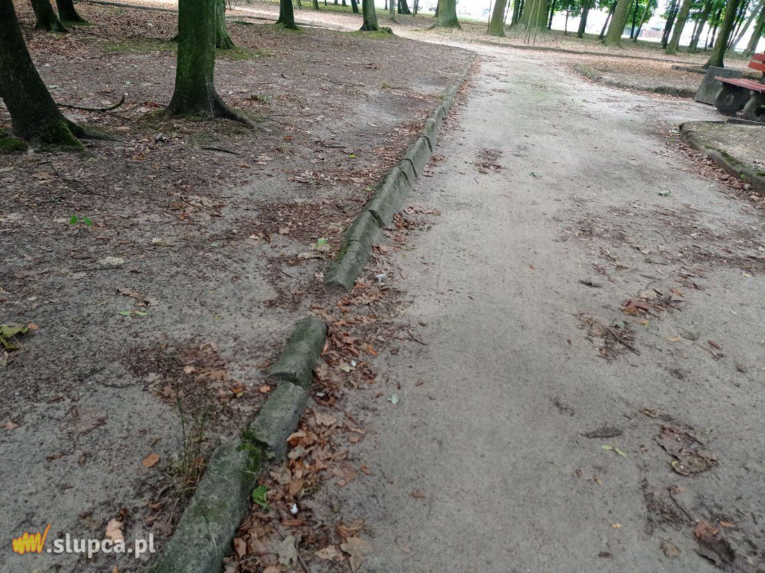 A może by tak do miejskiego parku… GALERIA ZDJĘĆ