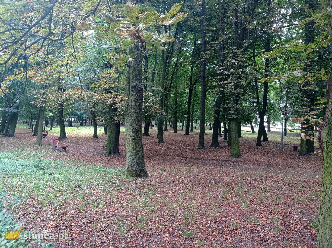 A może by tak do miejskiego parku… GALERIA ZDJĘĆ