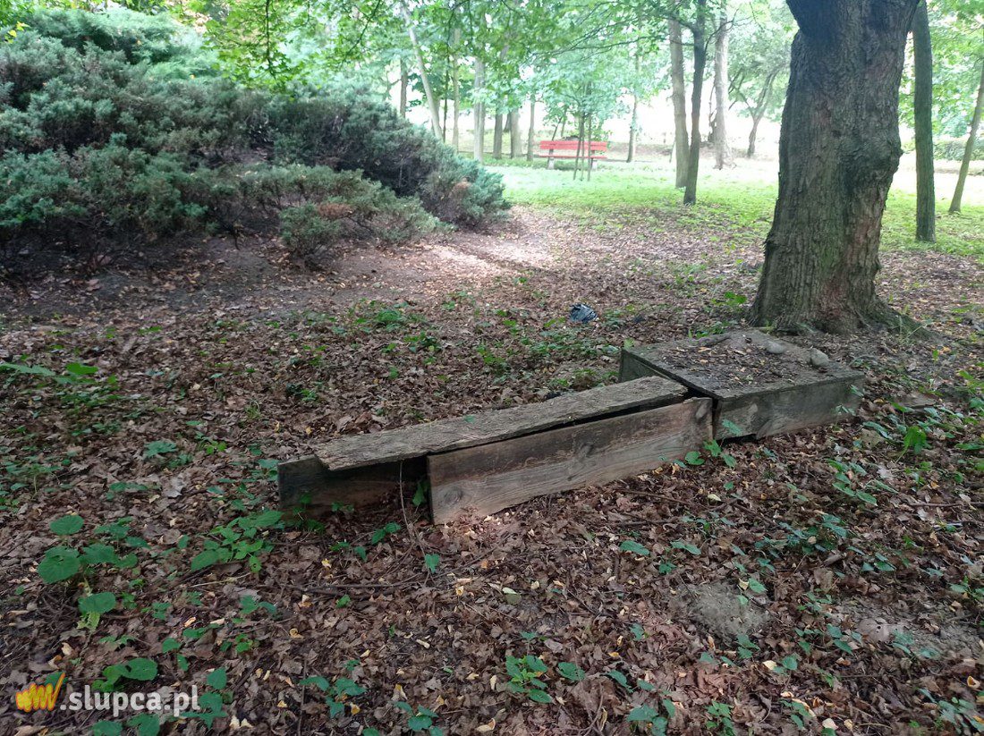 A może by tak do miejskiego parku… GALERIA ZDJĘĆ