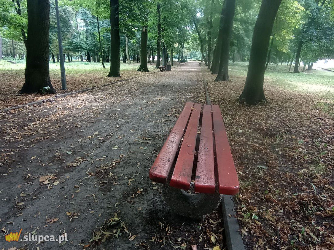 A może by tak do miejskiego parku… GALERIA ZDJĘĆ