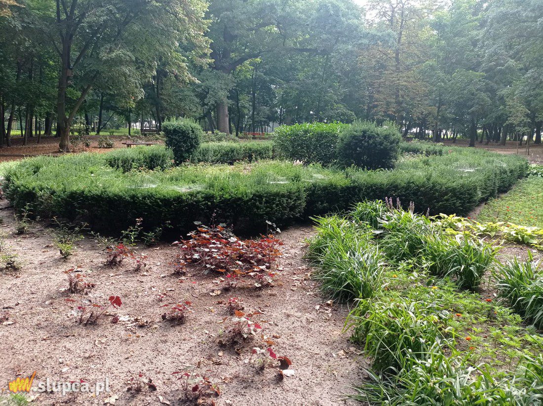 A może by tak do miejskiego parku… GALERIA ZDJĘĆ