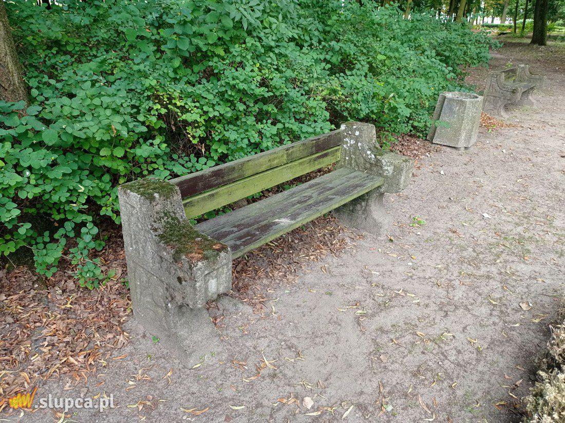 A może by tak do miejskiego parku… GALERIA ZDJĘĆ