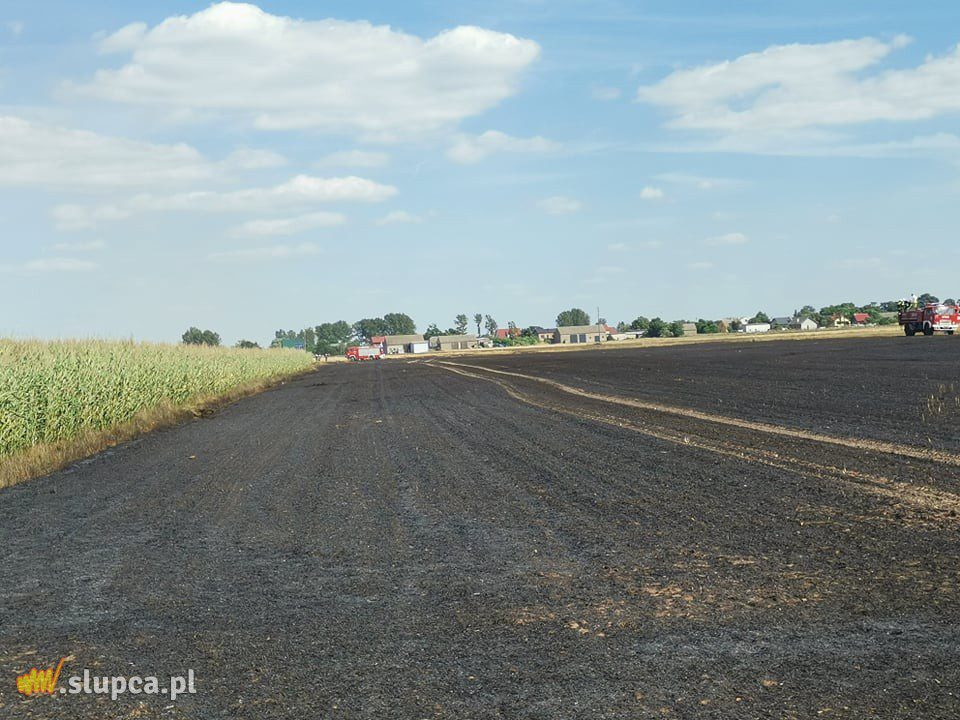 Duży pożar w Czesławowie. Na polu niesprawny hydrant