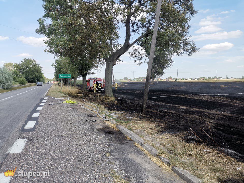 Duży pożar w Czesławowie. Na polu niesprawny hydrant