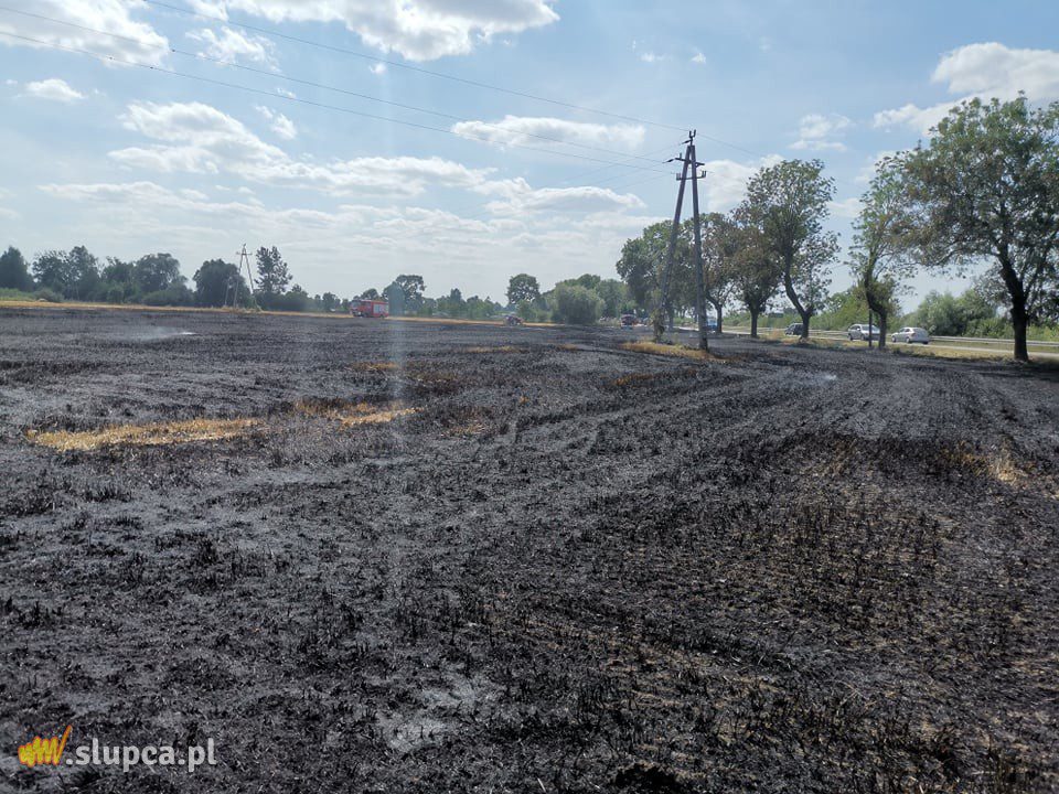 Duży pożar w Czesławowie. Na polu niesprawny hydrant