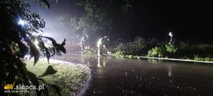 Powaliło drzewo na drodze