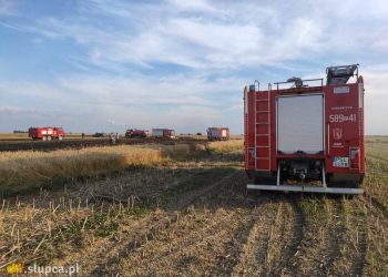 Kilka jednostek gasiło pożar