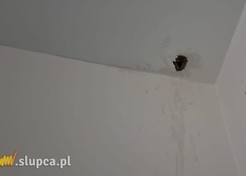Szpital: Z sufitu lała się woda