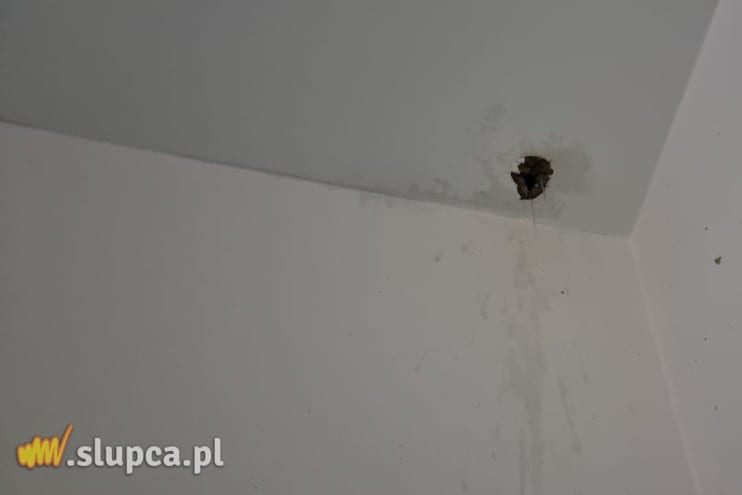 Szpital: Z sufitu lała się woda