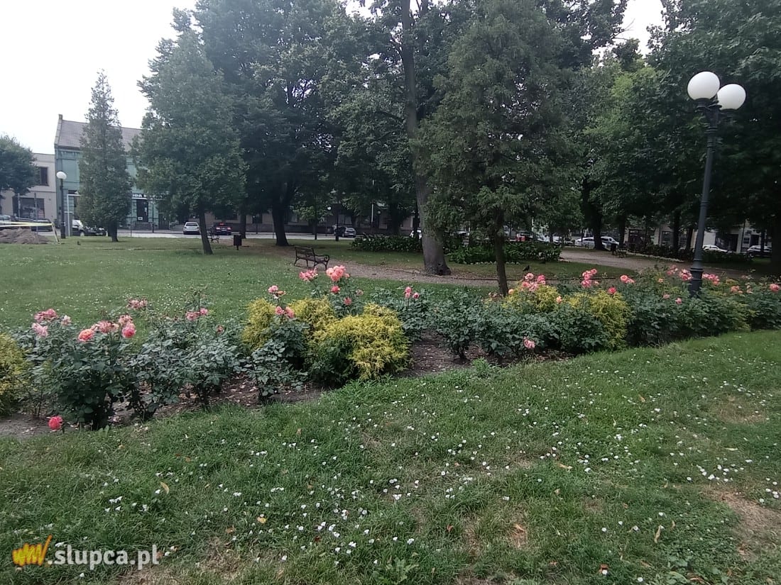 Słupecki rynek wizytówką miasta GALERIA ZDJĘĆ