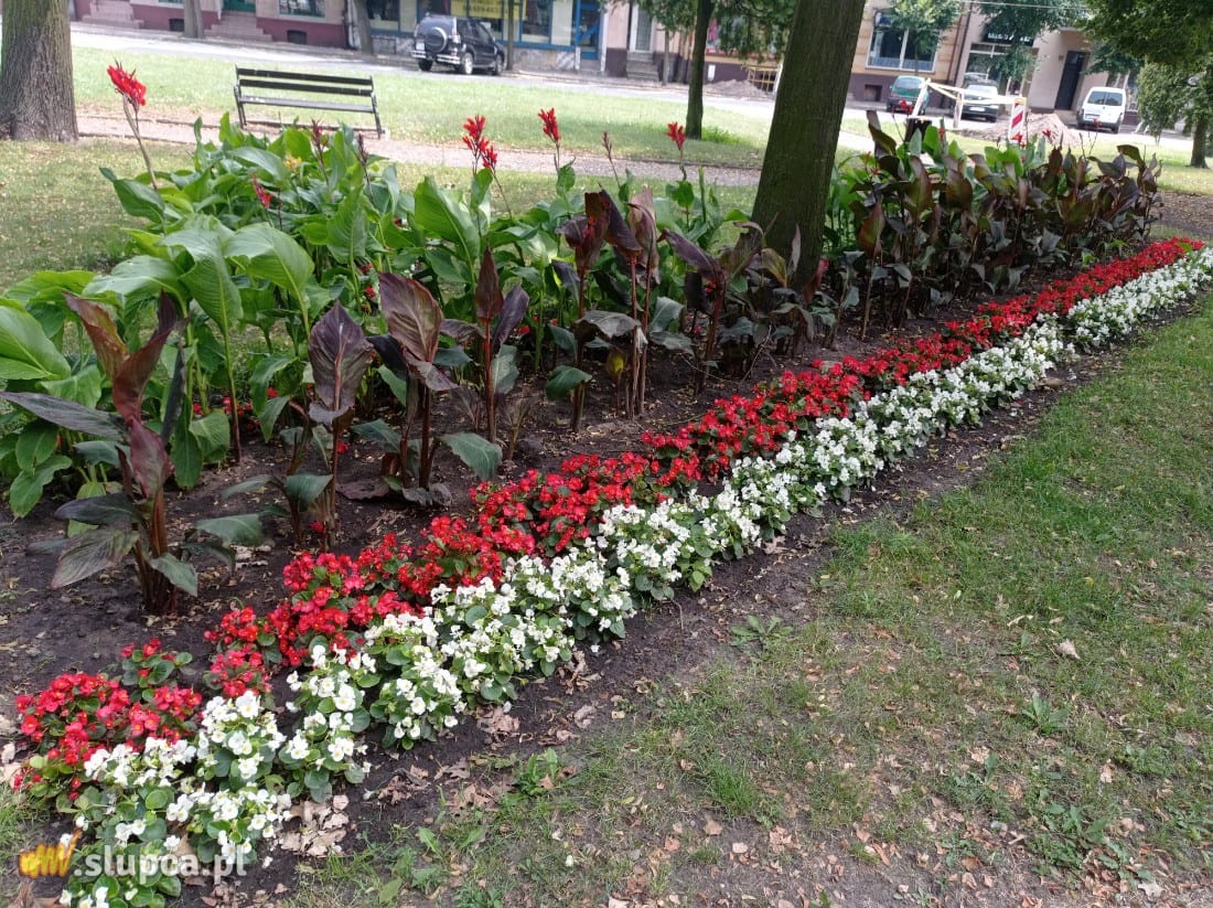 Słupecki rynek wizytówką miasta GALERIA ZDJĘĆ
