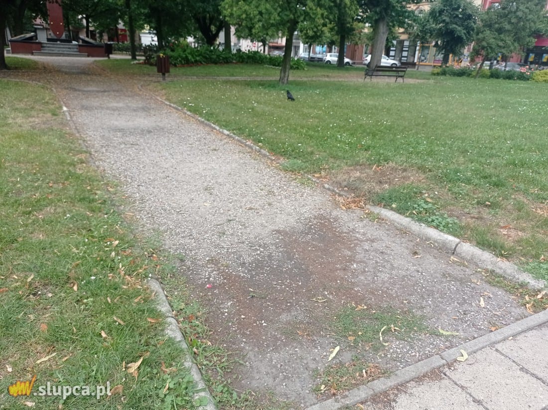 Słupecki rynek wizytówką miasta GALERIA ZDJĘĆ