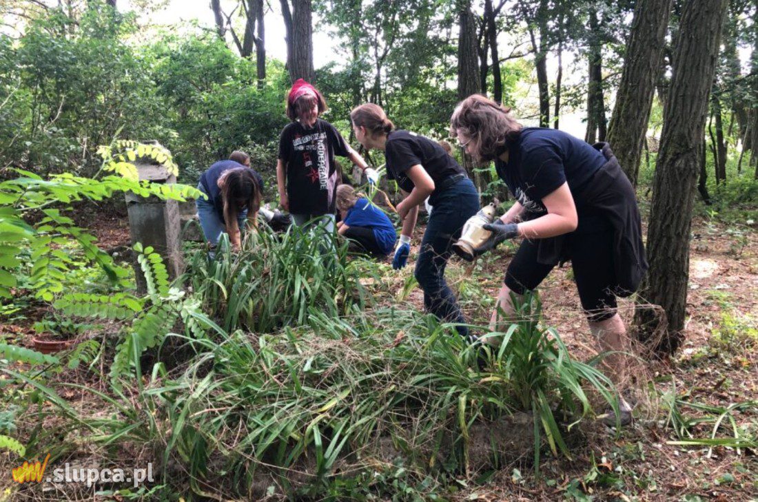 Harcerze uporządkowali cmentarz