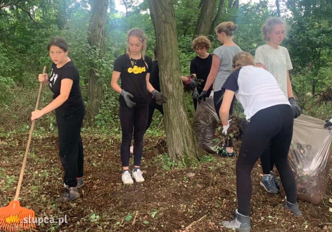 Harcerze uporządkowali cmentarz