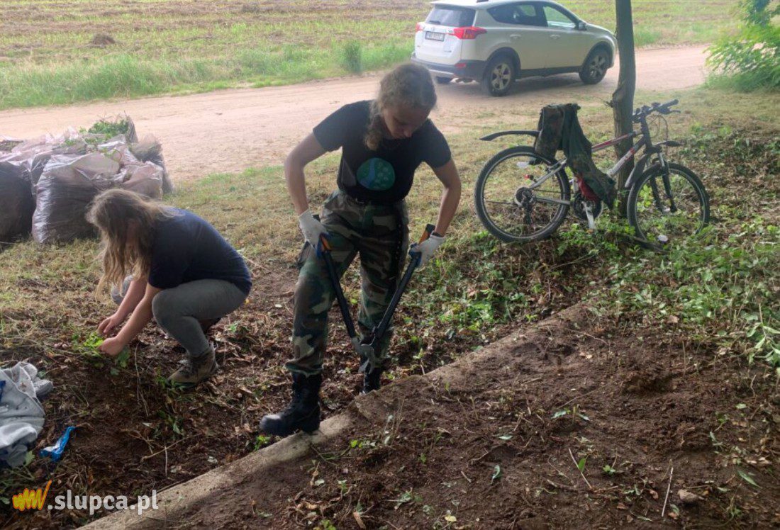 Harcerze uporządkowali cmentarz