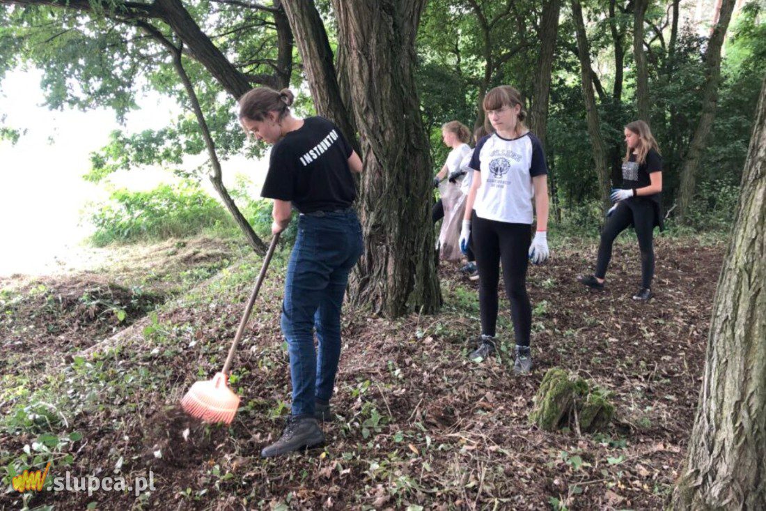Harcerze uporządkowali cmentarz