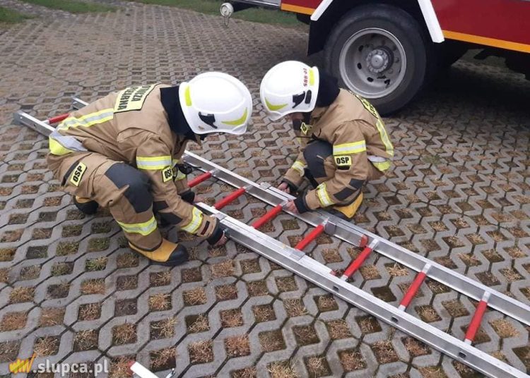 Druhowie z Piotrowic w akcji