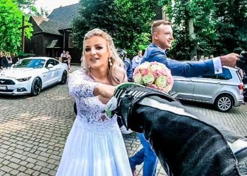 Dominika i Kuba. Wszystkiego najlepszgo!