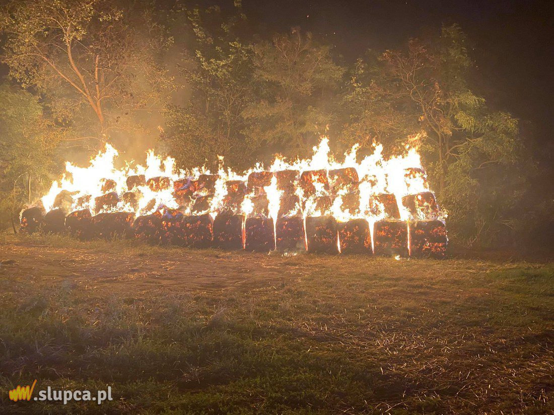 Awans słupeckich nauczycieli. Już teraz mianowani