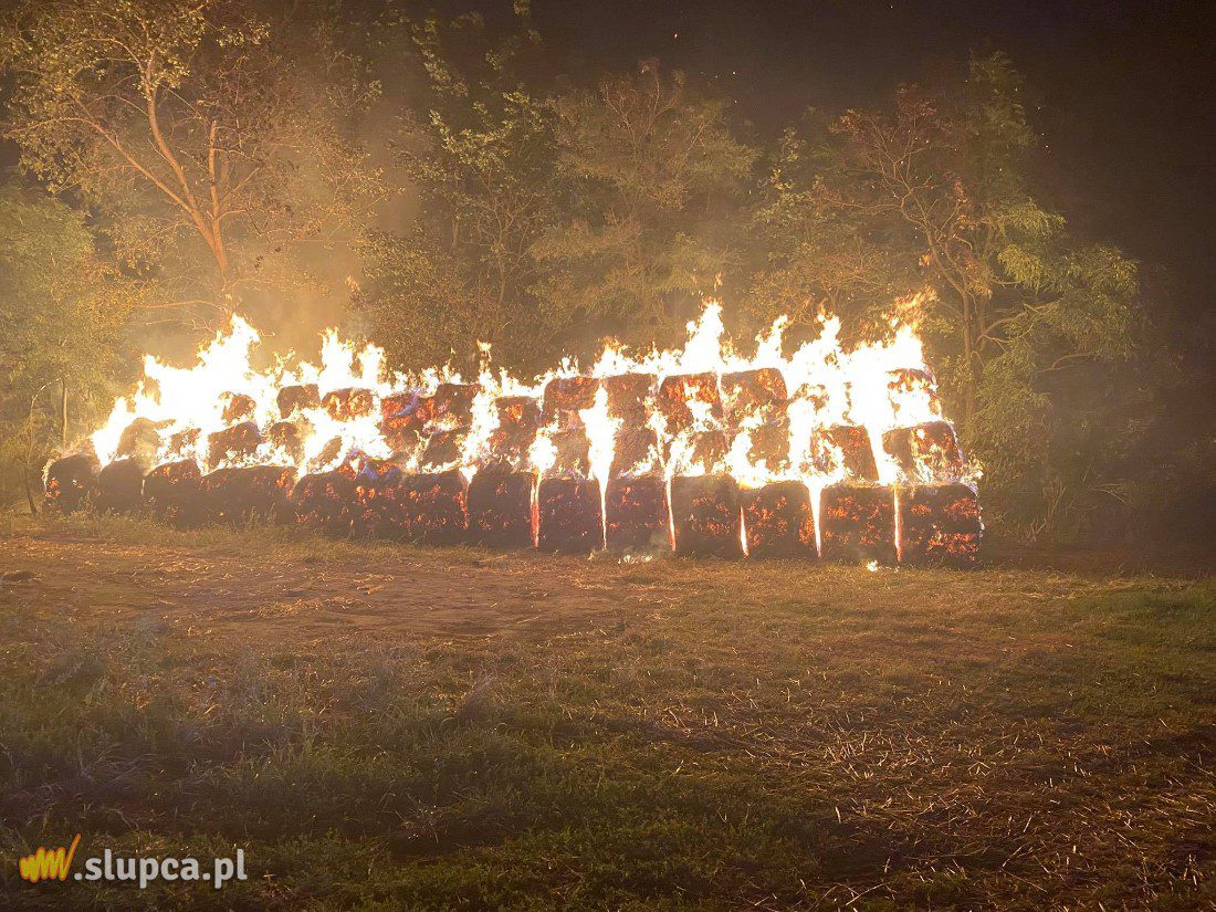W nocy spłonął stóg. Strażacy mówią o podpaleniu ZDJĘCIA