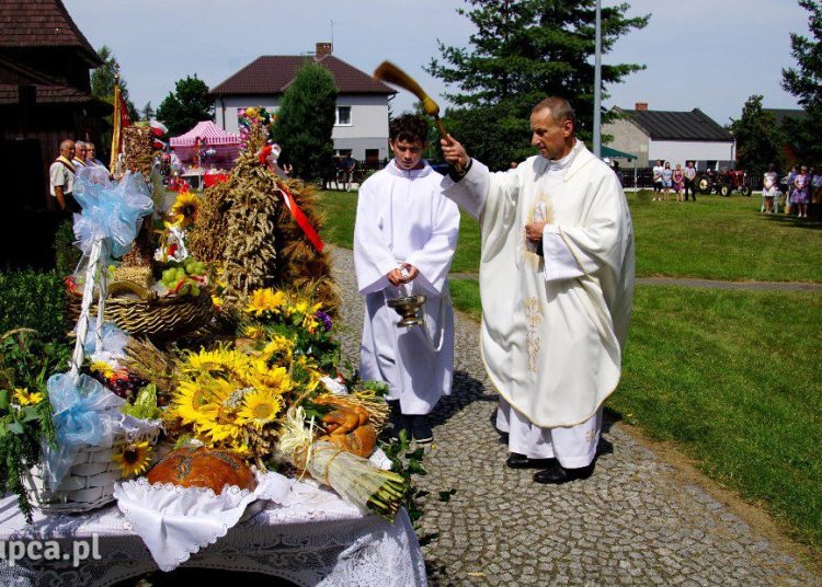 Świątecznie u Leonarda