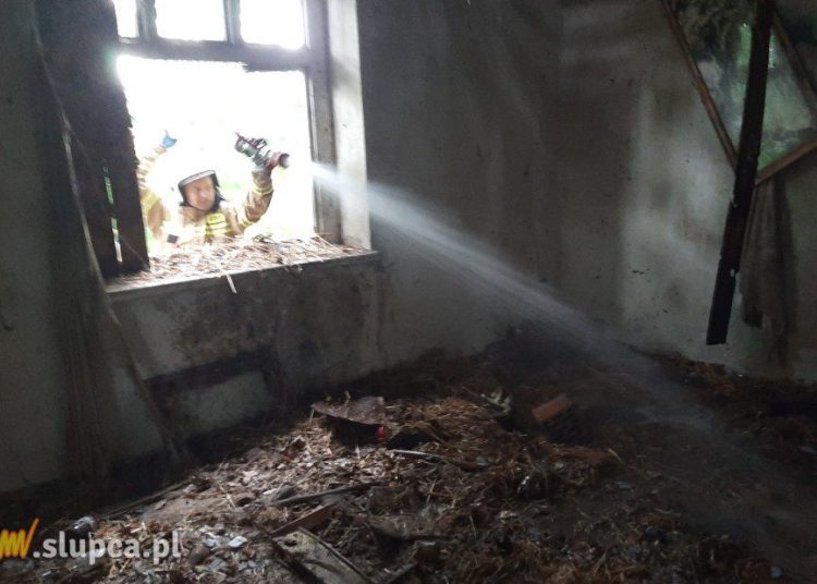 Pożar w Kamieniu. To było podpalenie?