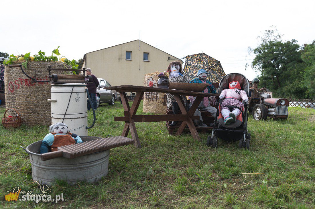 Ostrowite: Zbudowali słomianą wioskę