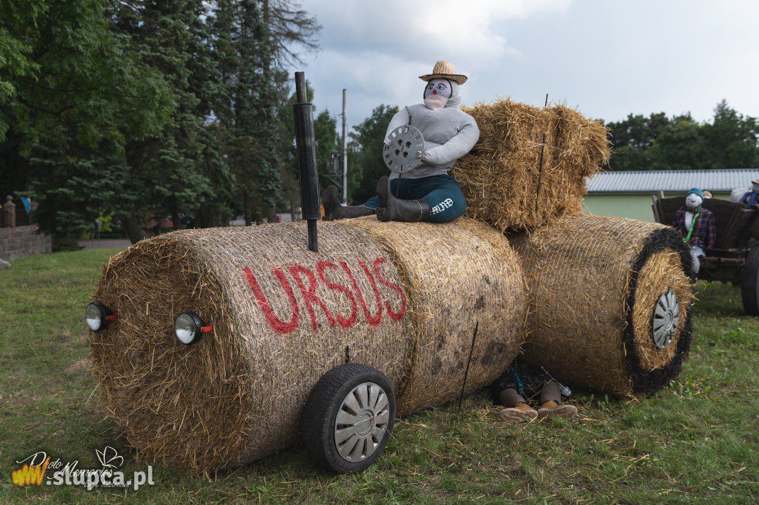 Ostrowite: Zbudowali słomianą wioskę