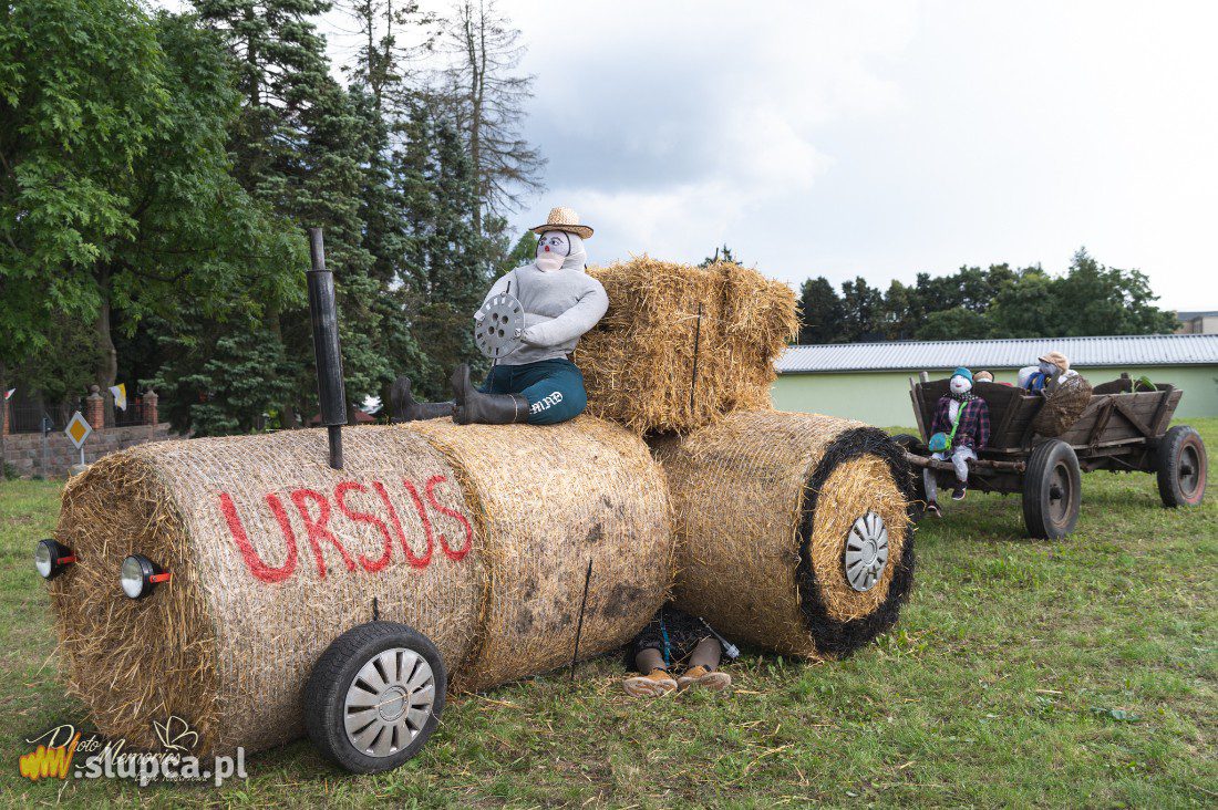 Ostrowite: Zbudowali słomianą wioskę