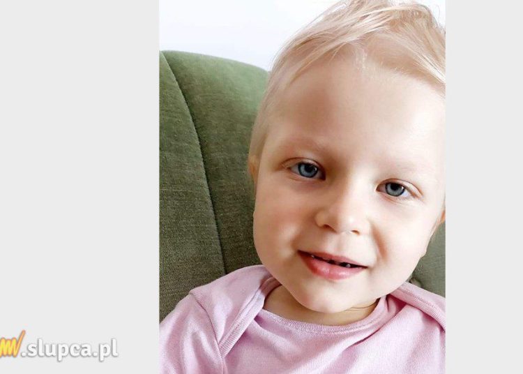 Zbierają dla Michalinki