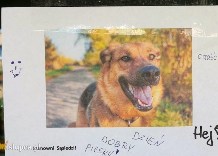 Azor przywitał się z mieszkańcami. Ci odpisali