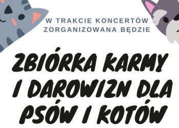 Na koncercie będą zbierać karmę