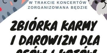 Na koncercie będą zbierać karmę