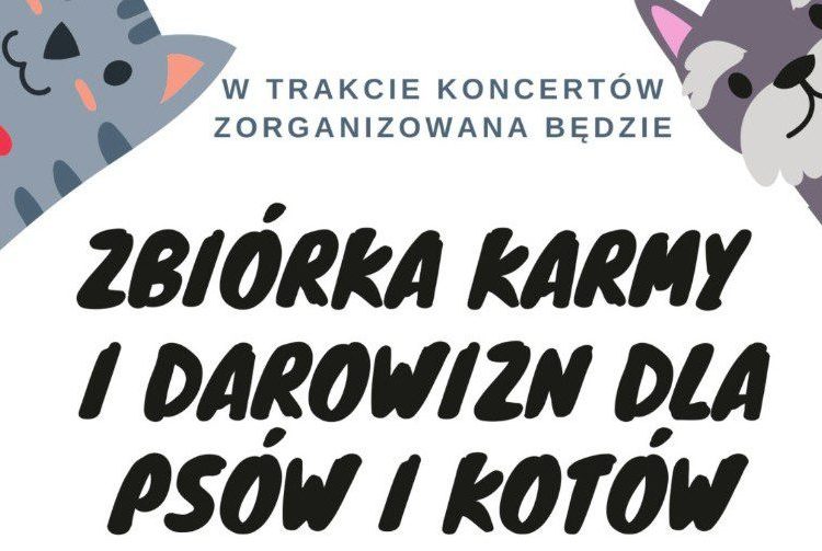 Na koncercie będą zbierać karmę