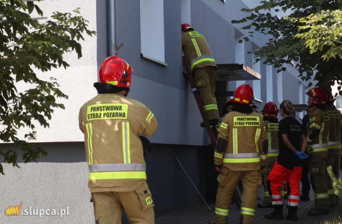 Służby interweniowały na Tysiąclecia. Co się stało?