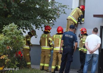 Służby interweniowały na Tysiąclecia. Co się stało?