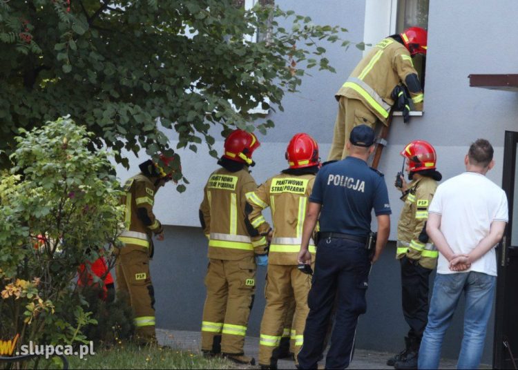 Służby interweniowały na Tysiąclecia. Co się stało?