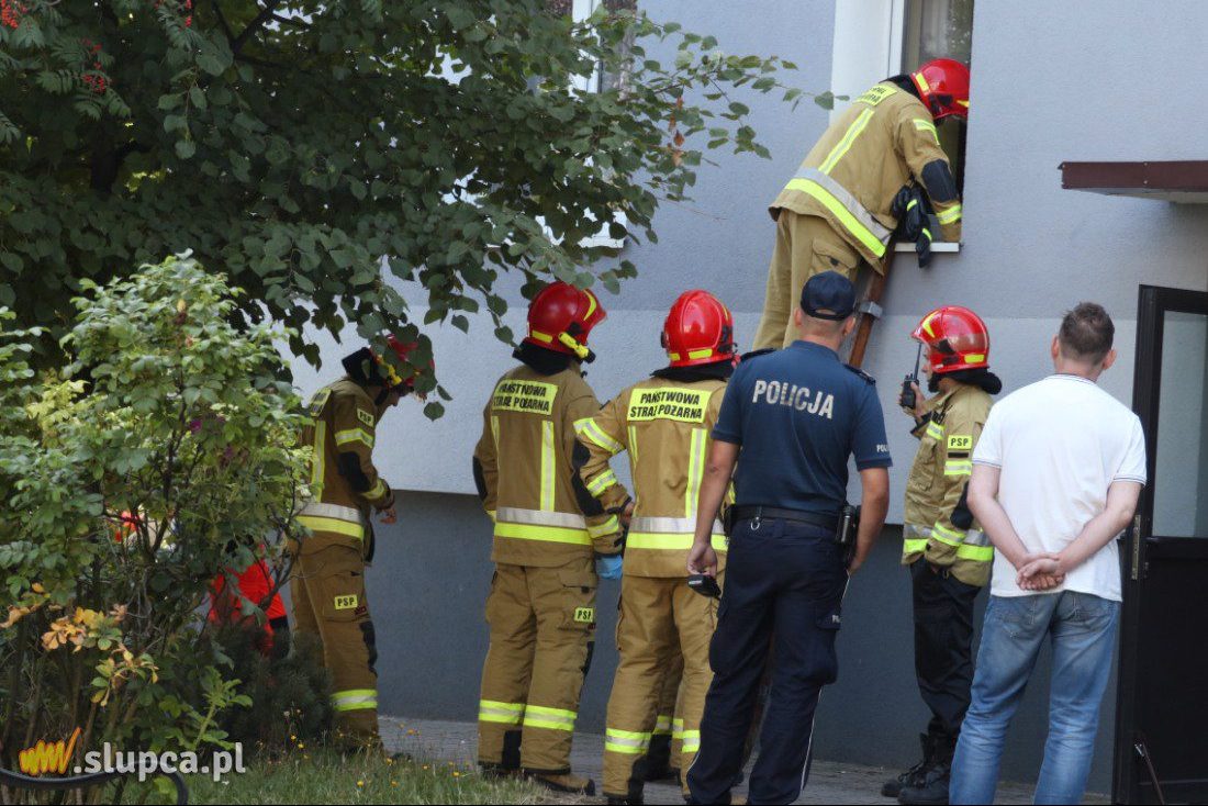 Służby interweniowały na Tysiąclecia. Co się stało?