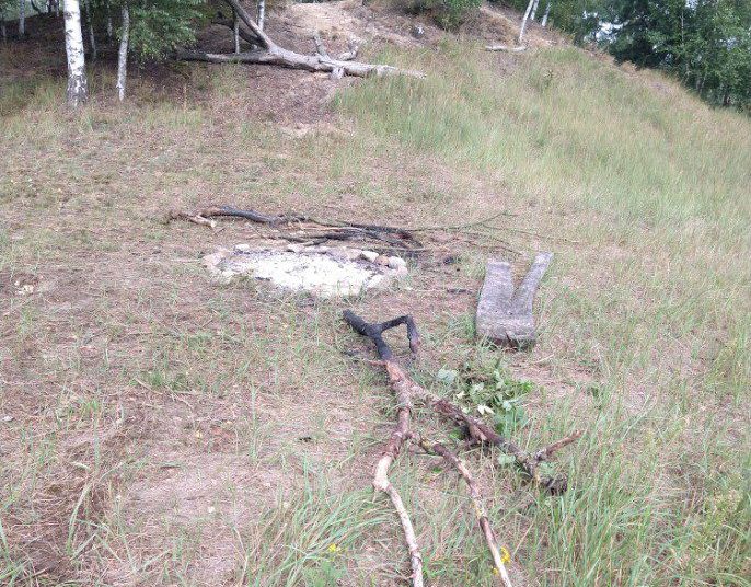 Wandale w Borku Lądkowskim