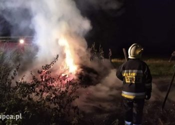 Gasili pożar w Anielewie