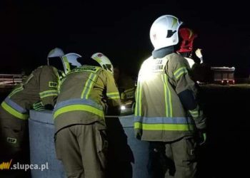 Szukali psa w studzience