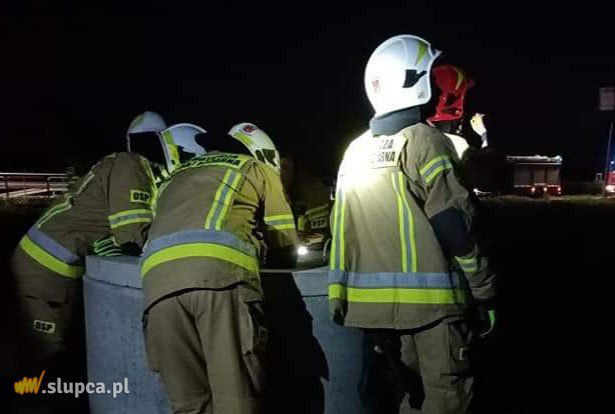 Szukali psa w studzience