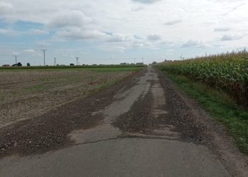 Strzałkowska podstawówka w projekcie o Powstaniu