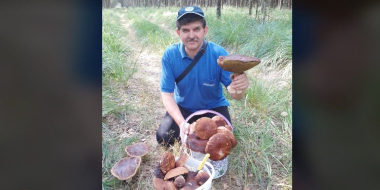 Gigantyczne zbiory pana Sławka