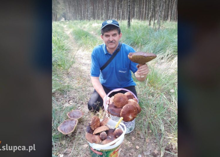 Gigantyczne zbiory pana Sławka