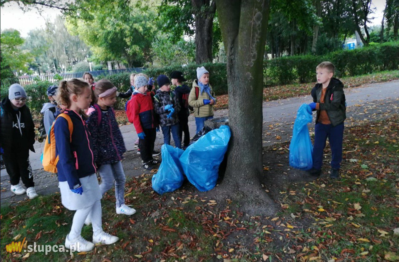 Sprzątająca Trójka. „Myślę, więc nie śmiecę”