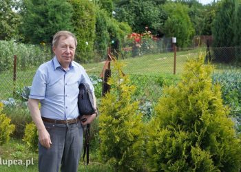 ROD Róża wyróżniony w krajowym konkursie